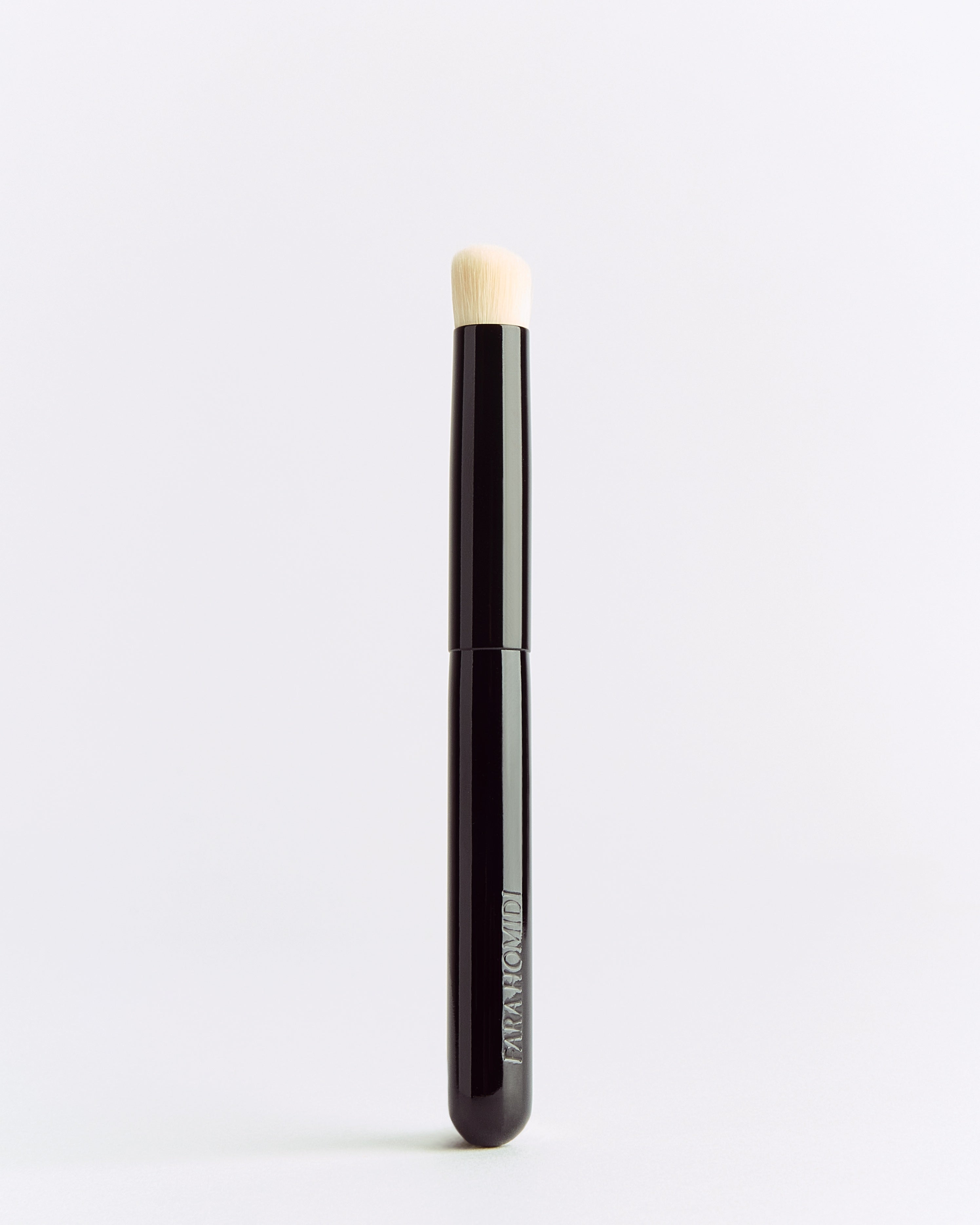 FH Blur Brush