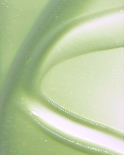 Super Matcha Body Lotion+